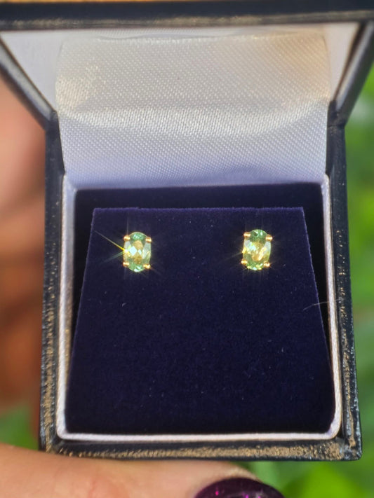 14ct Gold, 0.9ct Paraiba Tourmaline Earrings.